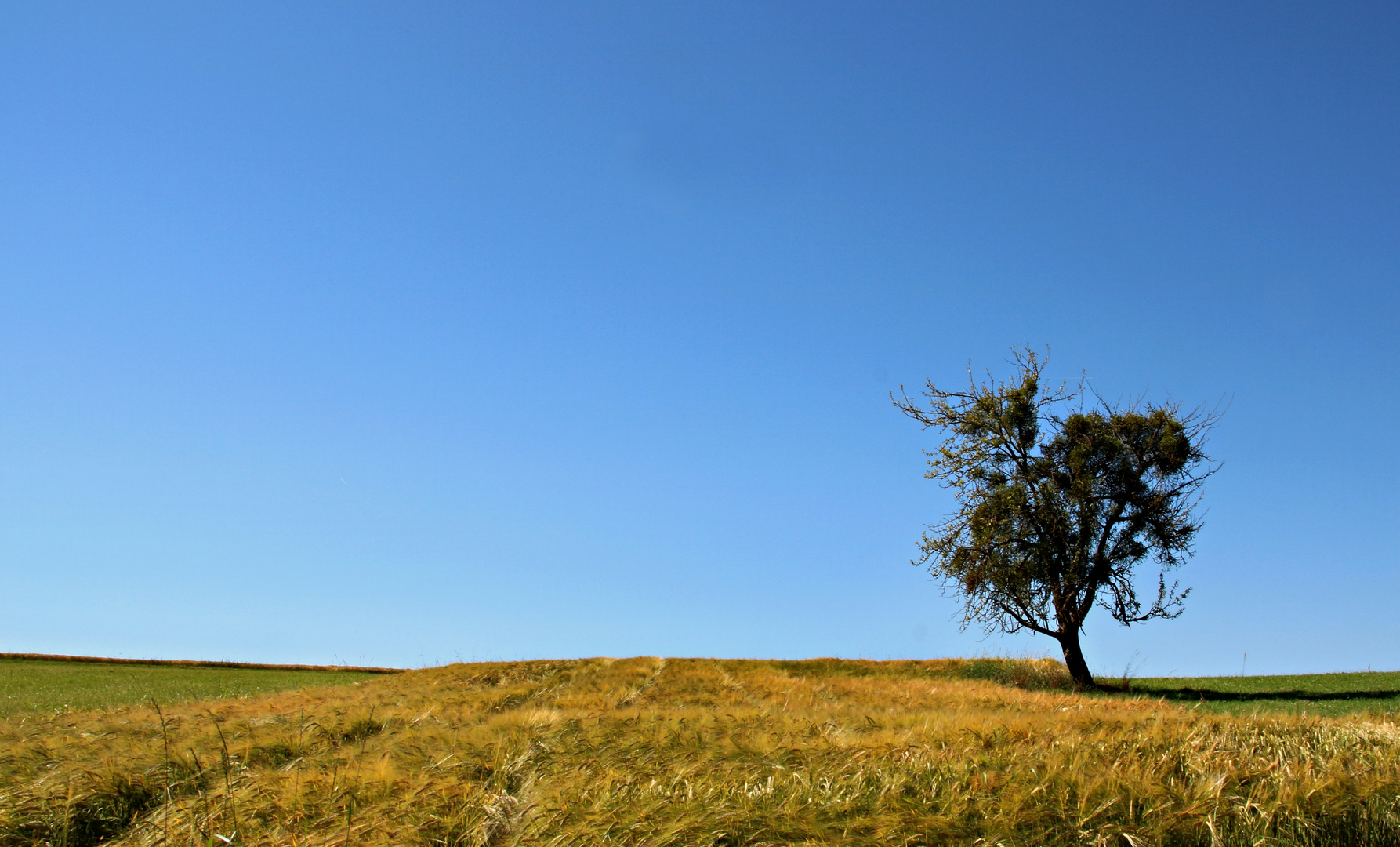 Im Visier: " Landschaft minimalistisch"