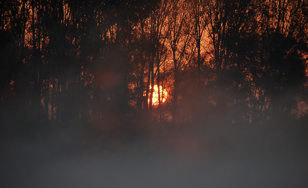 im visier - morgenröte 6