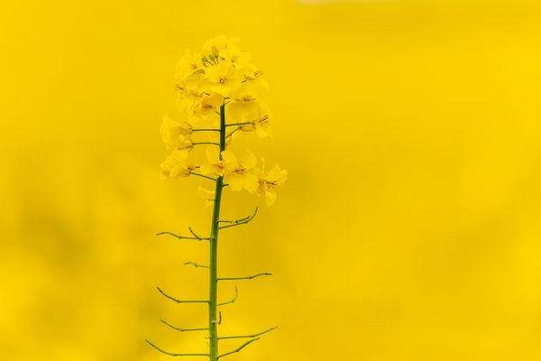 Im Visier:  "Nichts" 