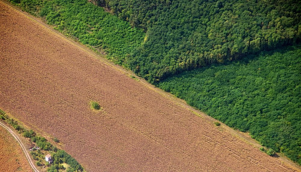 Im Visier - Recall: Natürliche Diagonalen