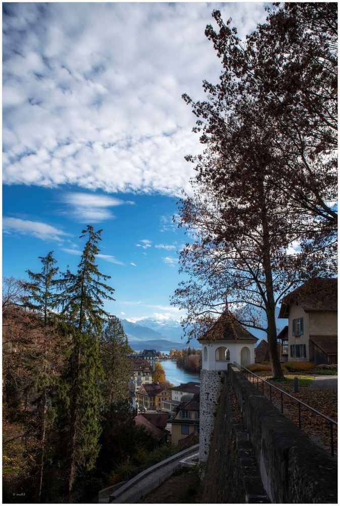 Im Visier Recall: Schöne Aussicht in der Heimat... 