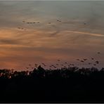 Im Visier Recall "Schöne Landschaft in der Heimat."