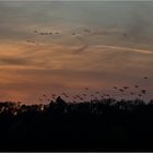 Im Visier Recall "Schöne Landschaft in der Heimat."