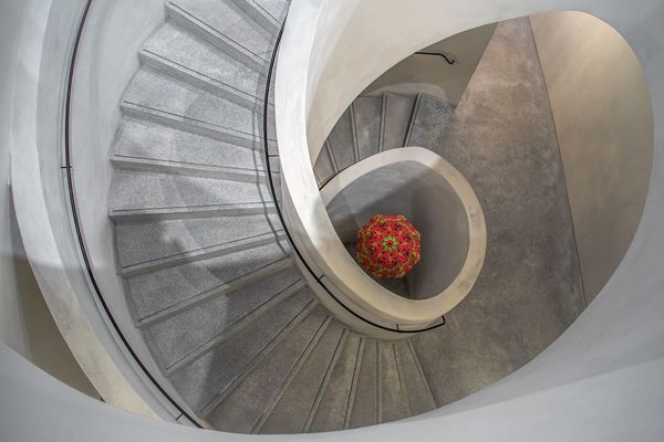 Im Visier - "Regenschirm(e)"