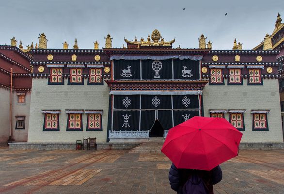 im visier: "Regenschirm(e)"