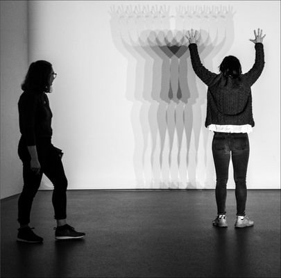 Im Visier: "Schatten"      