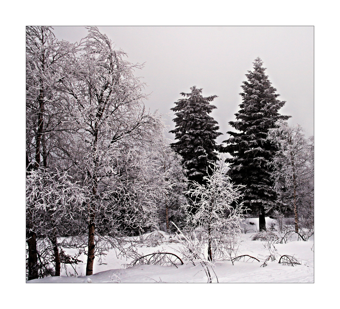 Im Visier Schneezauber