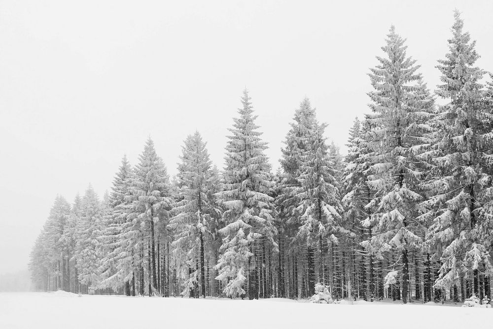 Im Visier:  Schneezauber ... 