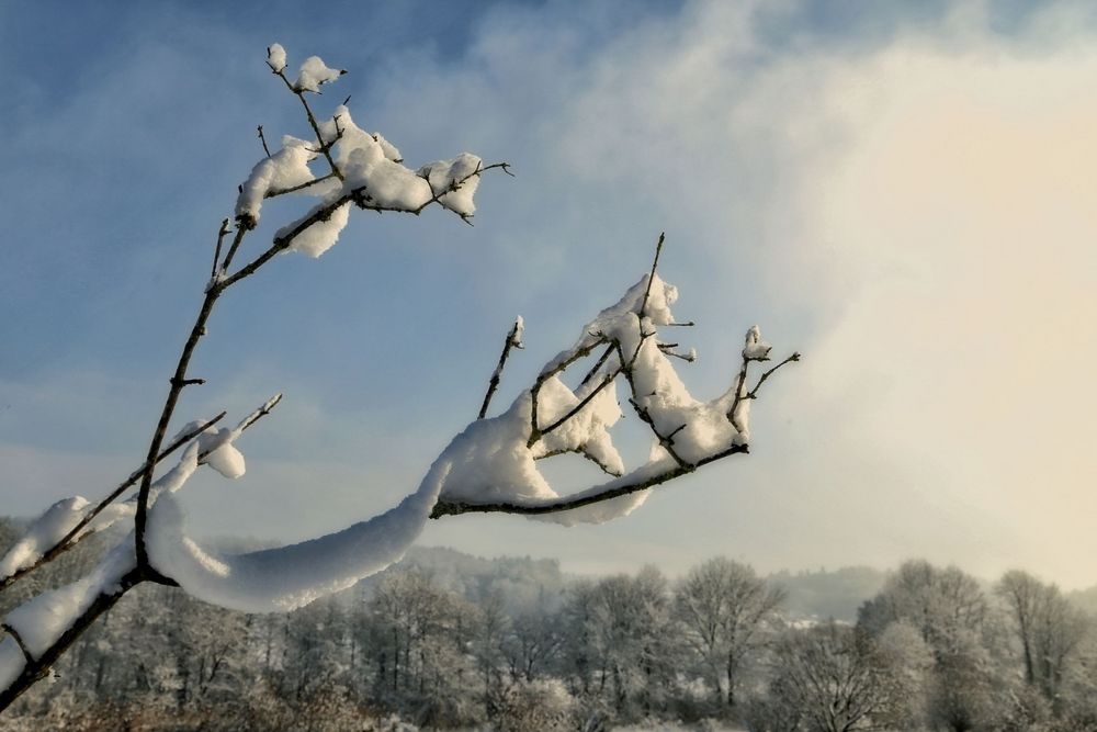 Im Visier: Schneezauber