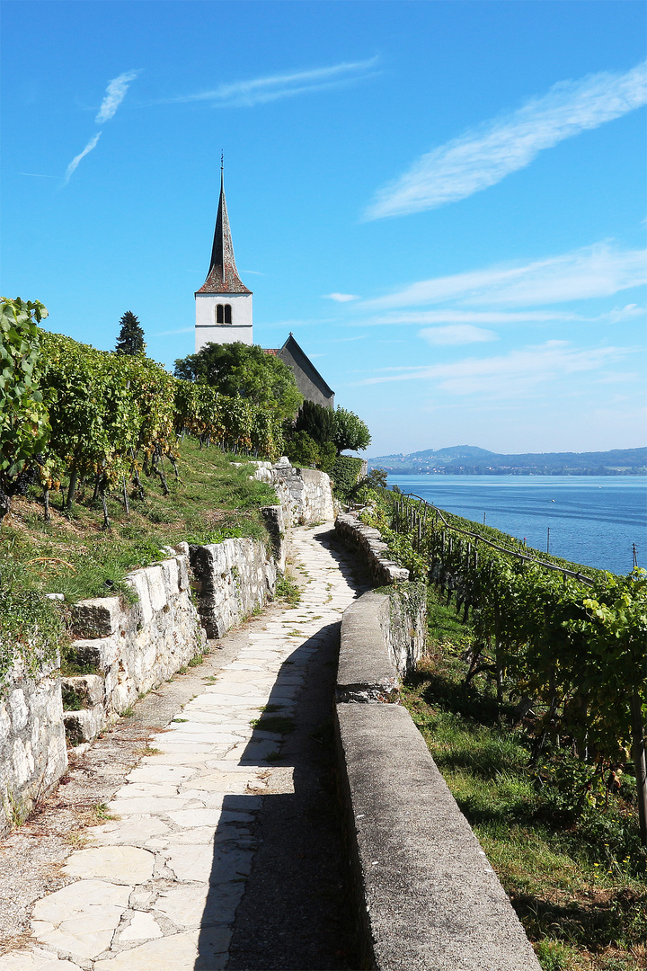 Im Visier * Schöne Aussicht in der Heimat *