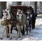 Im Visier: Schutz vor dem Winter