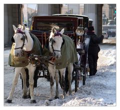 Im Visier: Schutz vor dem Winter