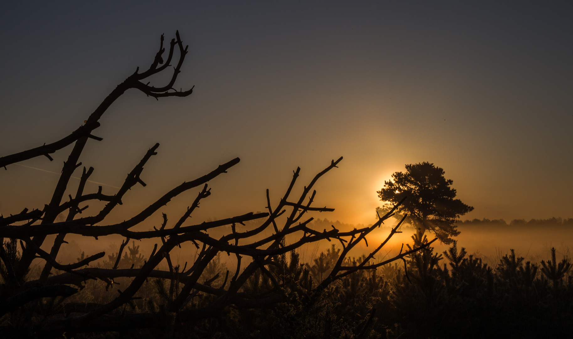 Im Visier:   *Silhouetten* 