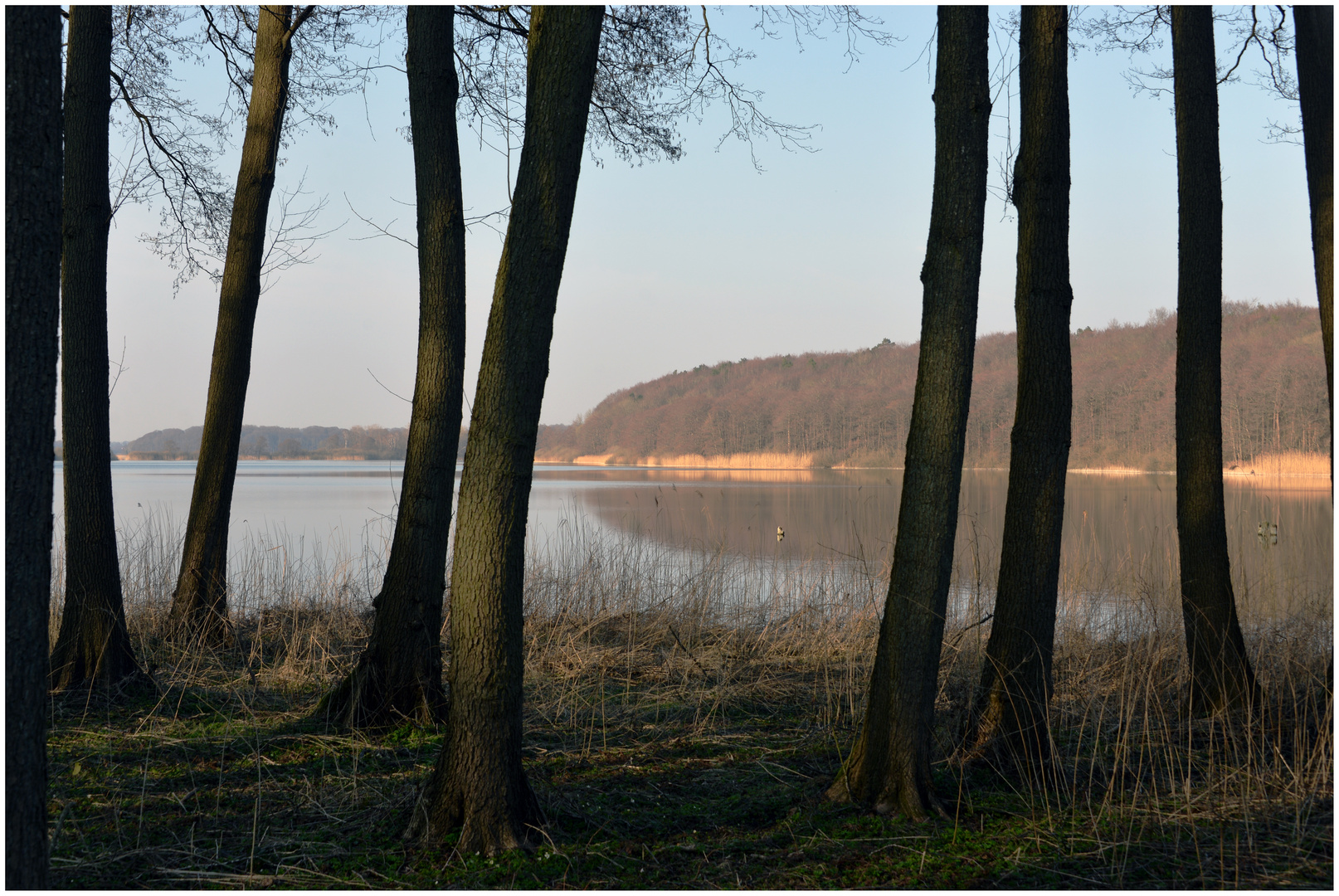 Im Visier: " Wann ist endlich wieder Frühling"