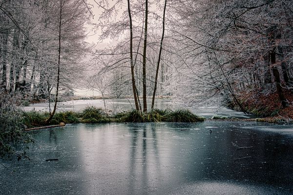 Im Visier "Winterwald" 