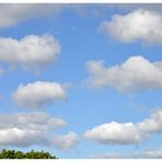 Im Visier: "Wolkenhimmel"