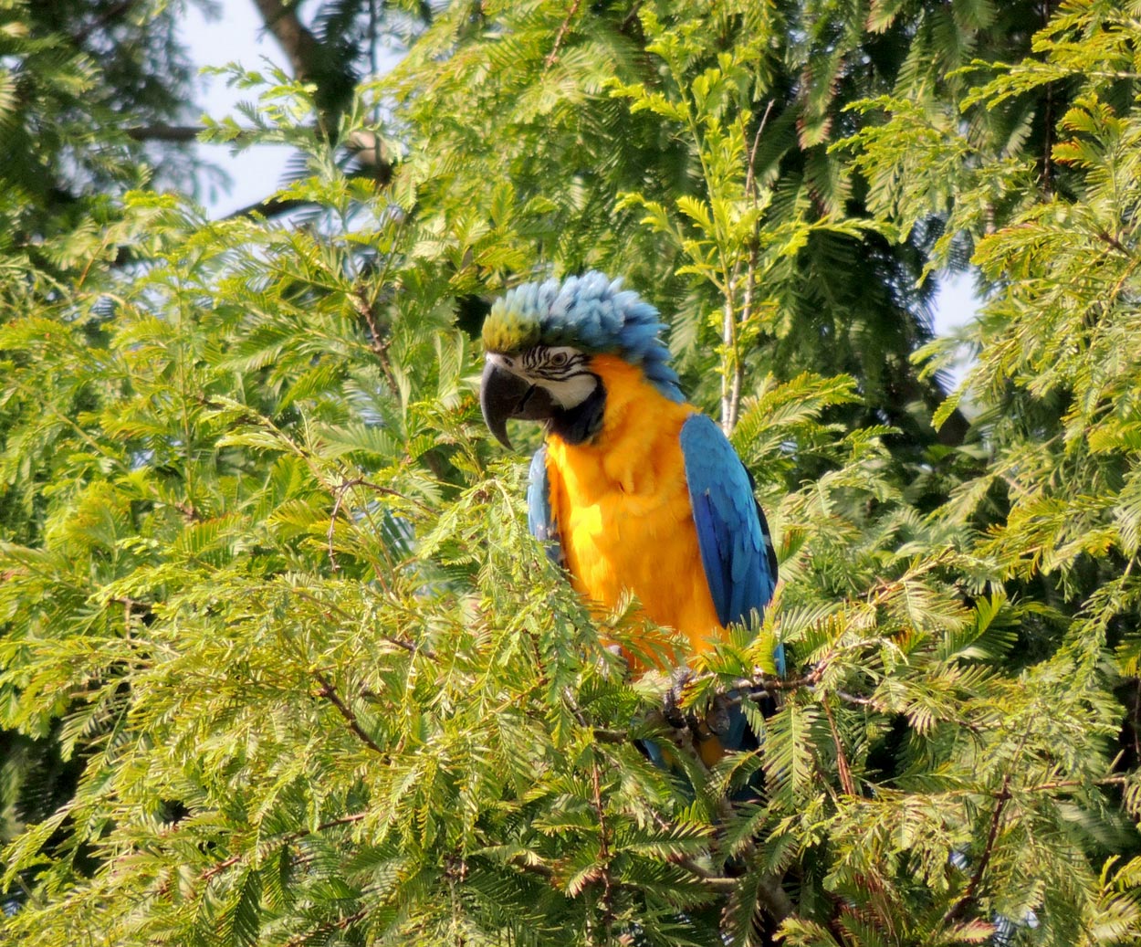 Im Vogelpark 2