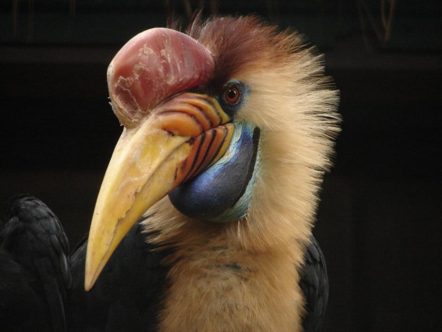 Im Vogelpark