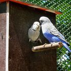 Im Vogelpark Marlow