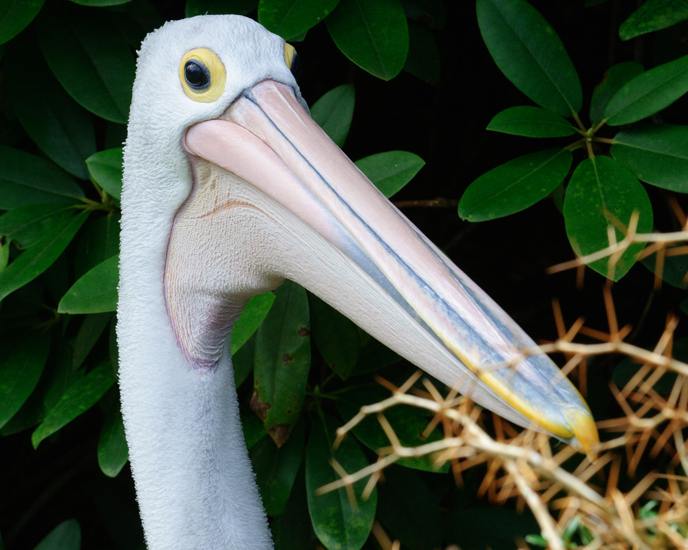 Im Vogelpark Walsrode