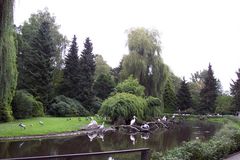 Im Vogelpark Walsrode