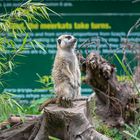 Im Vogelpark wartet man 