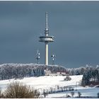 Im Vogelsberg