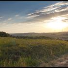 Im Vogelsberg bei Sonnenuntergang