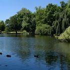 Im Volksgarten Düsseldorf