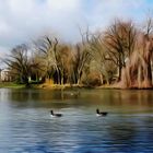 Im Volksgarten Düsseldorf