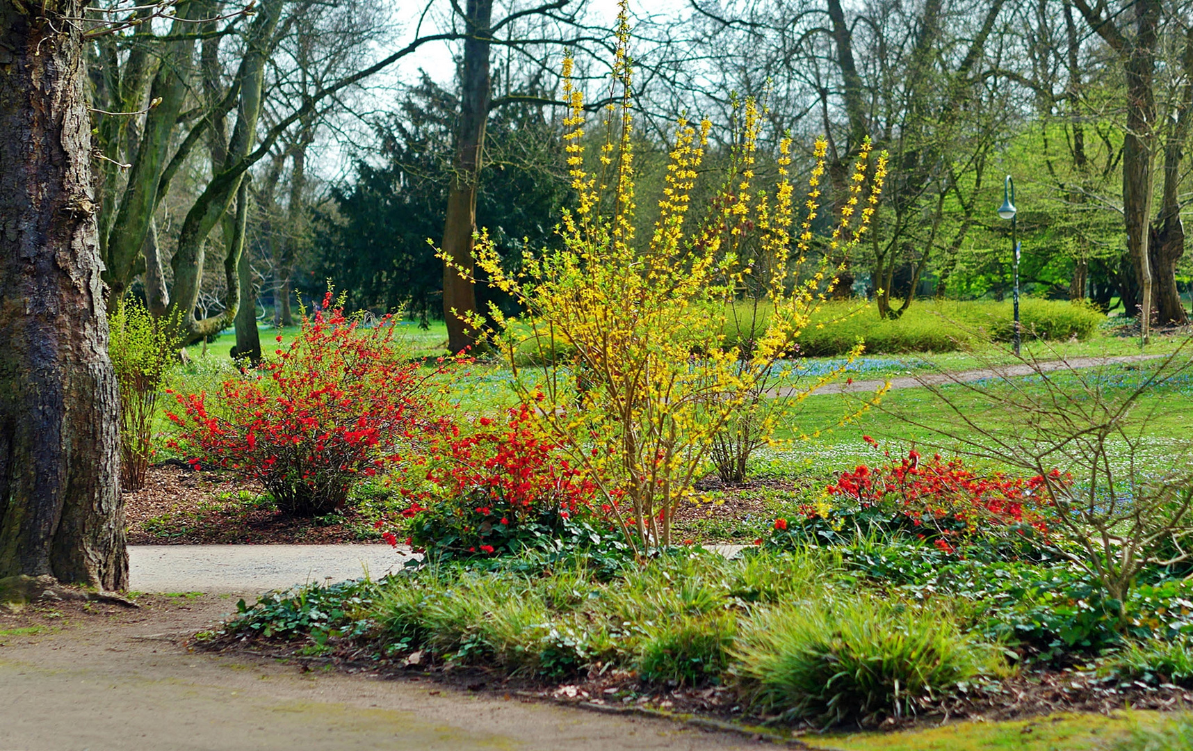 Im Volksgarten Düsseldorf