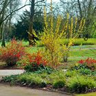 Im Volksgarten Düsseldorf