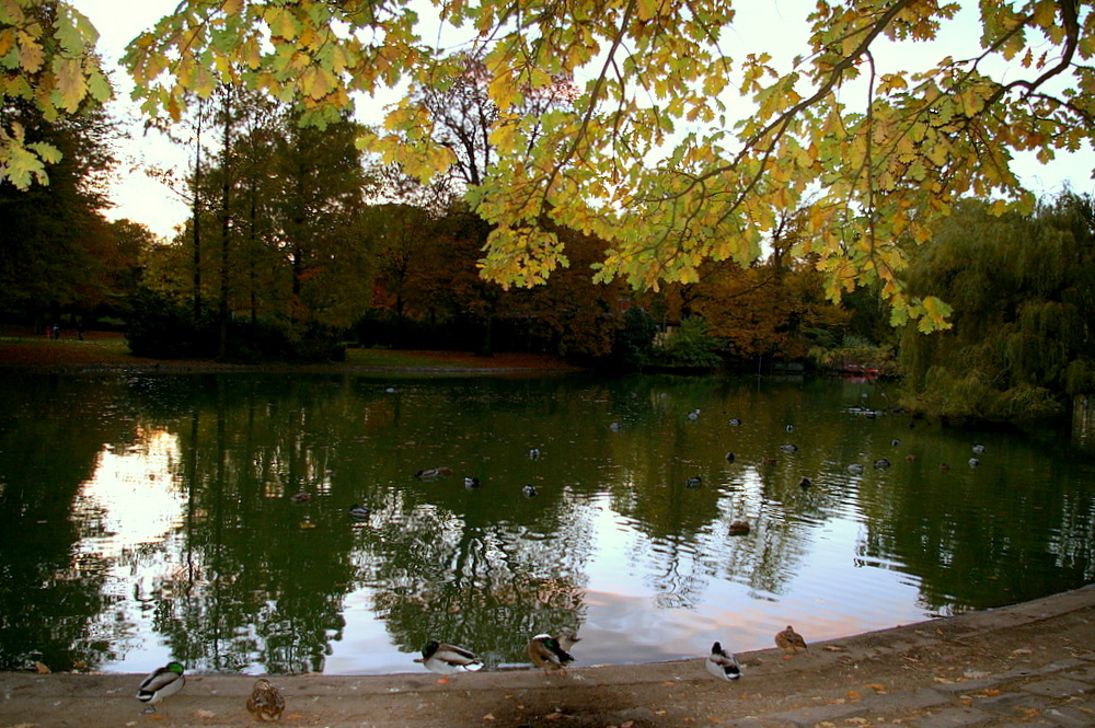 Im Volksgarten 