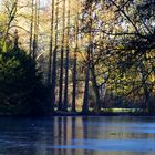 Im Volksgarten Mönchengladbach