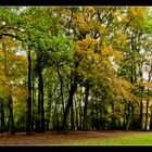 Im Volkspark 3