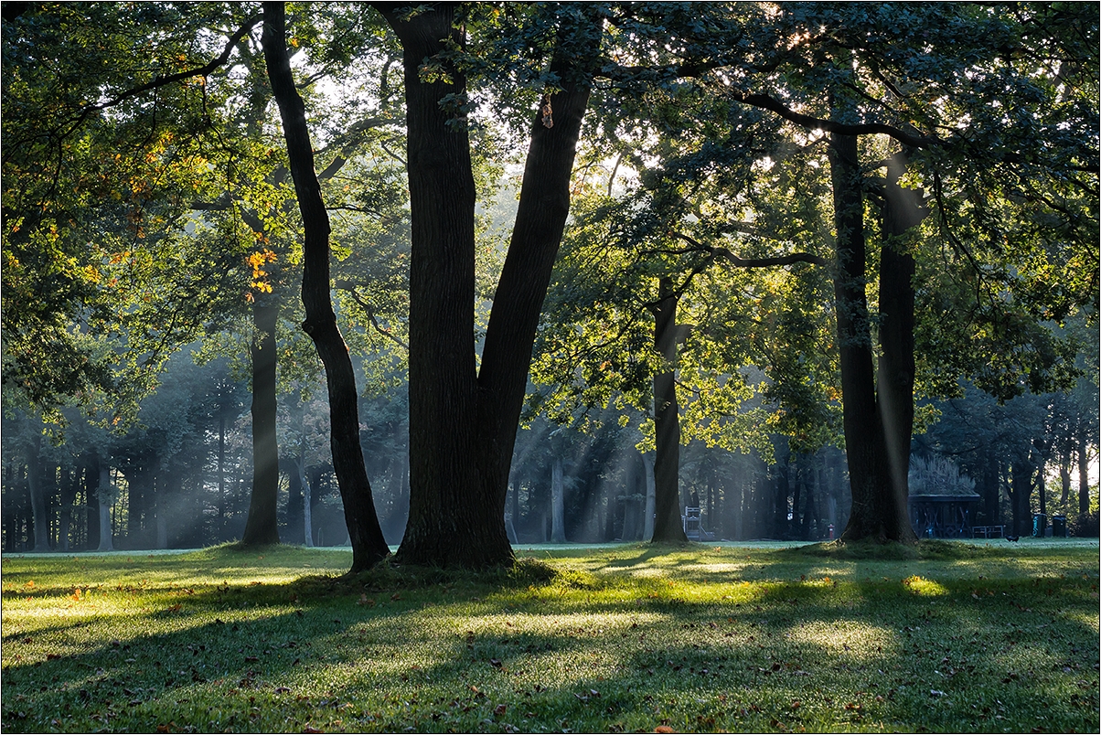 Im Volkspark