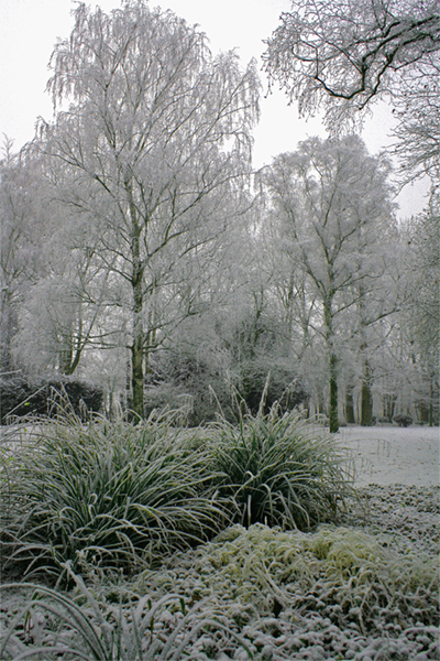 ... im Volkspark Duisburg-Rheinhausen, 11.12.2007