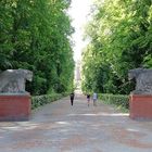 Im Volkspark Jungfernheide in Berlin