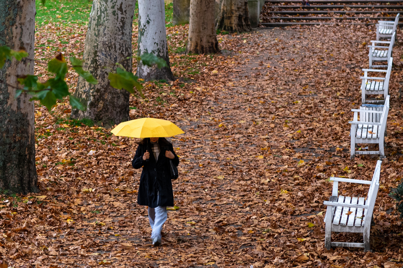 im Volkspark Schöneberg-Wilmersdorf in Berlin