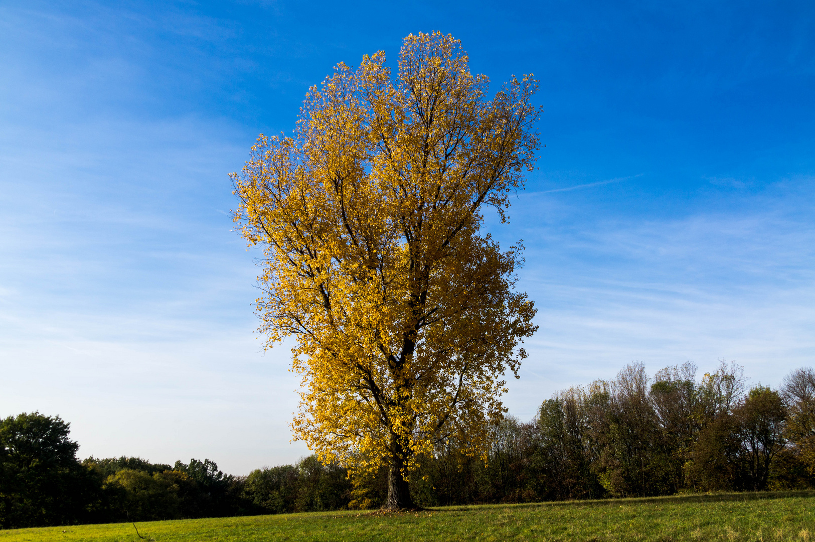 Im vollen Herbstkleid