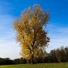 Im vollen Herbstkleid