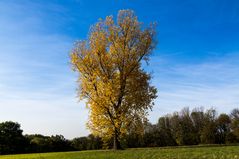 Im vollen Herbstkleid