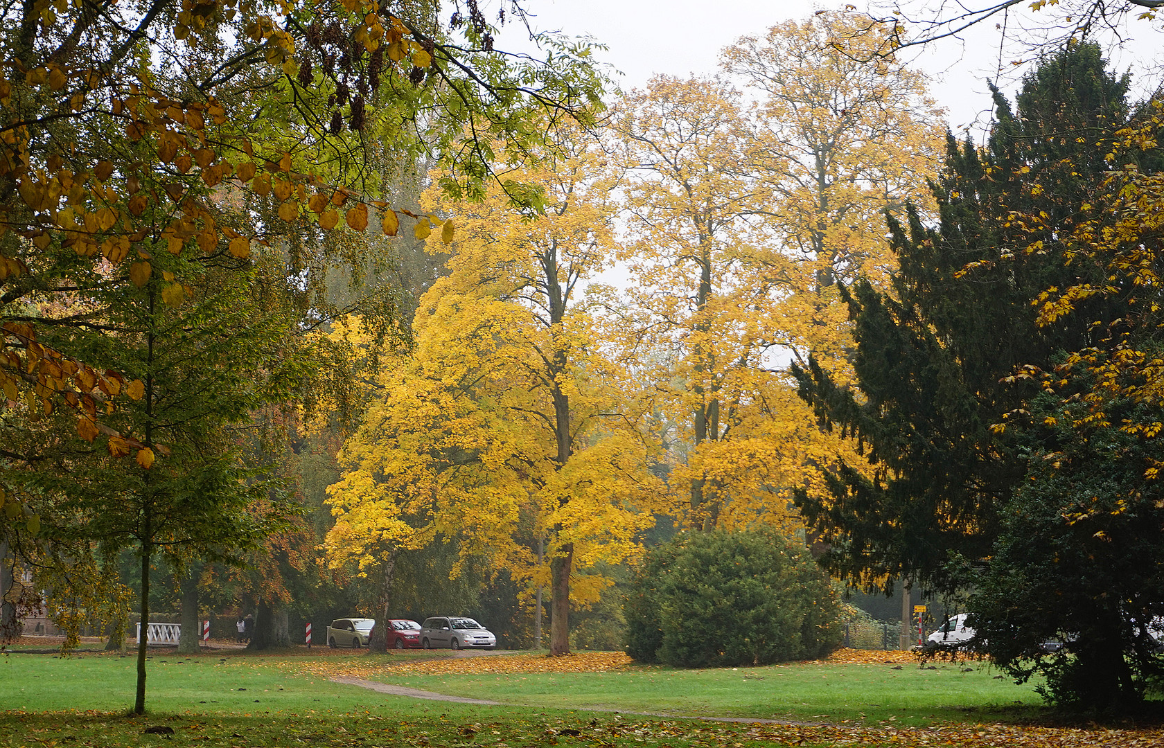 Im vollen Herbstschmuck