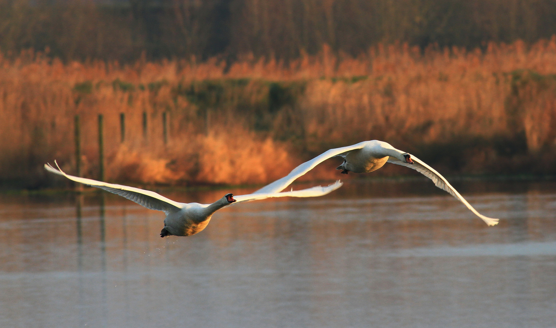 Im vorbei Flug