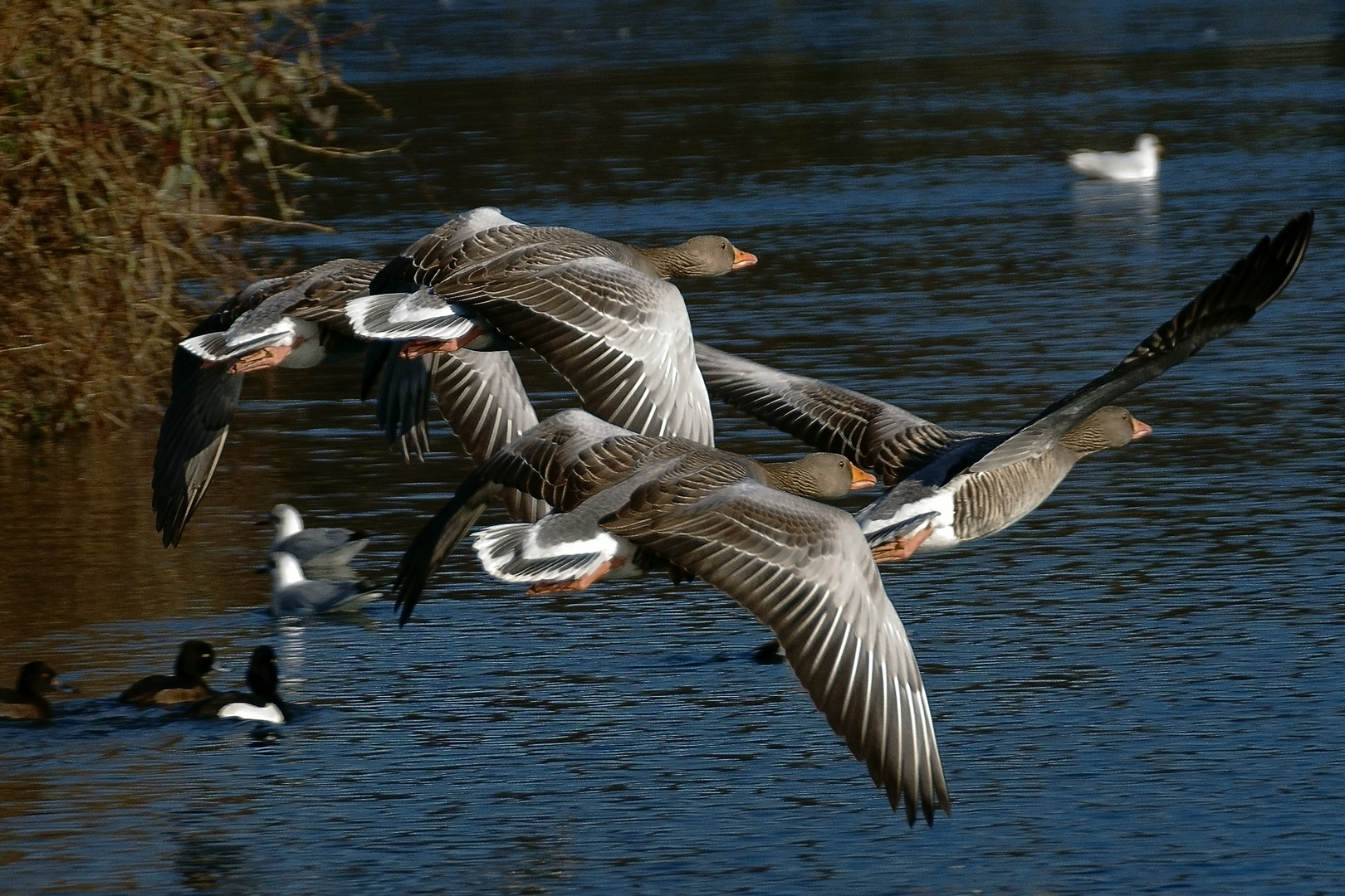 Im Vorbeiflug