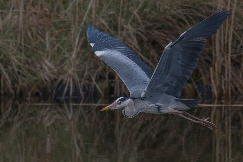 im Vorbeiflug