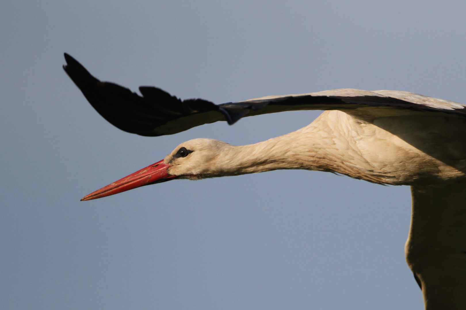 Im Vorbeiflug