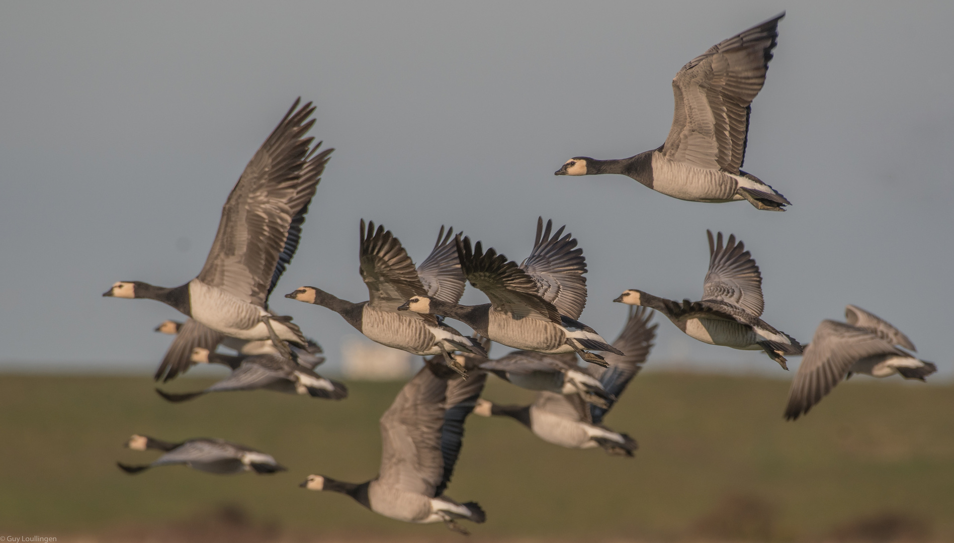 im Vorbeiflug