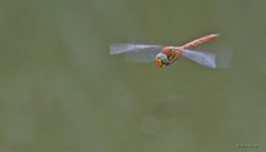 Im Vorbeiflug