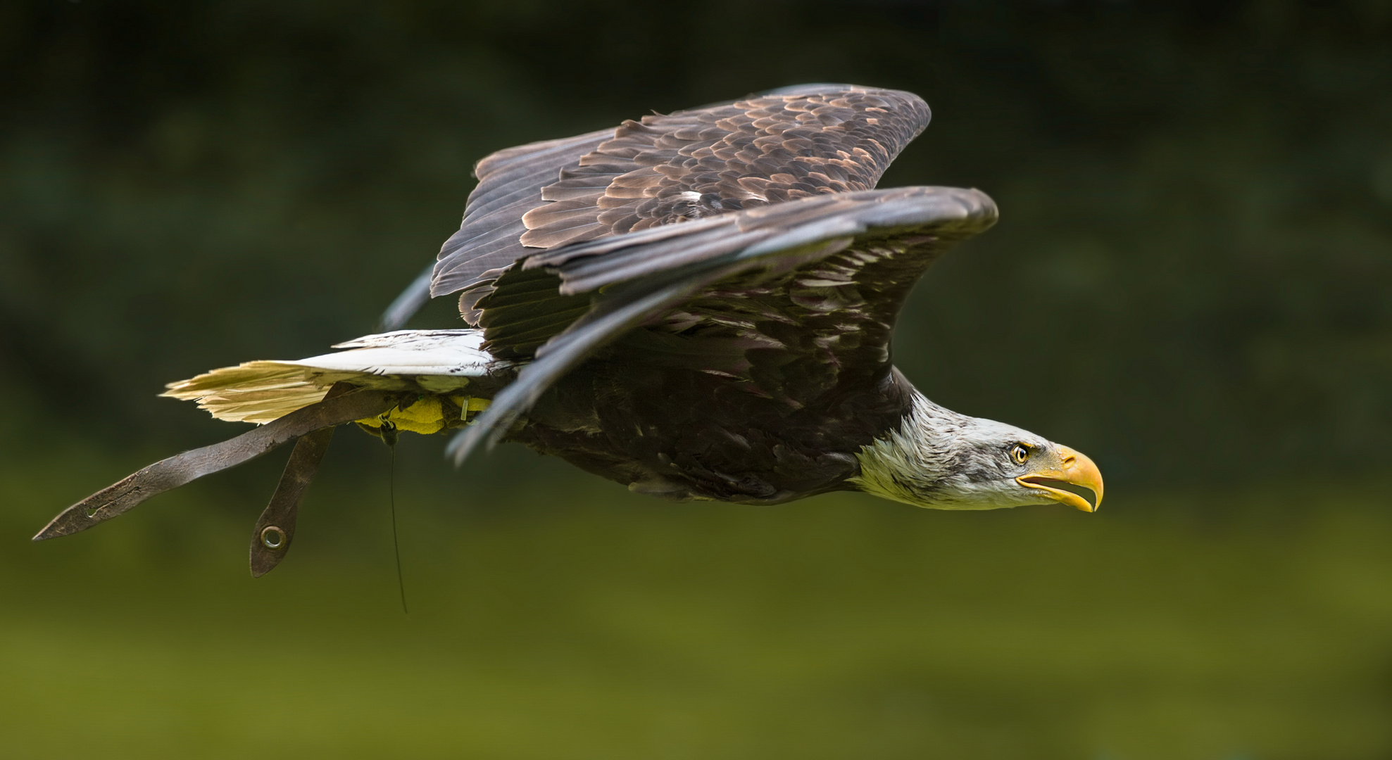 Im Vorbeiflug